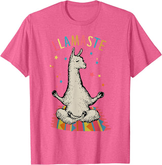 Funny Llama Yoga T-Shirt Llama Llamaste T-Shirt - Pink Heather