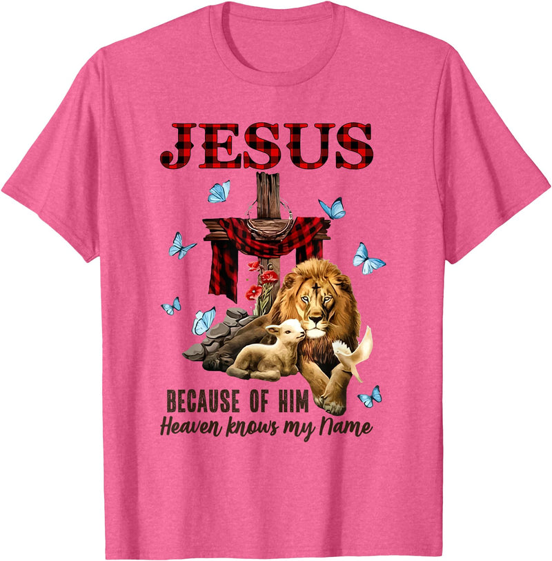 Unknow FAITH Jesus Lion Lamb Heaven Know My Name T-Shirt - Pink Heather