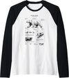 Orca whale Anatomy, Marine Biologist Polar Bear Anatomy, Bear Lover, Marine Biologist Raglan Baseball Tee - Black/White