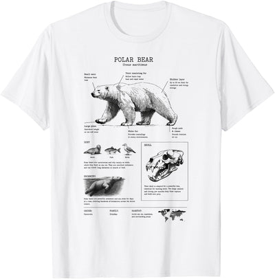 Orca whale Anatomy, Marine Biologist Polar Bear Anatomy, Bear Lover, Marine Biologist T-Shirt