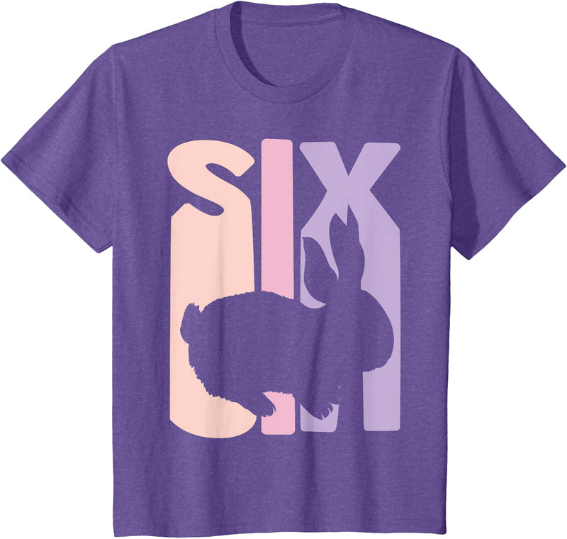 6th Birthday Gift Bunny Rabbit Fan 6 Years Old Girl T-Shirt in Purple Heather