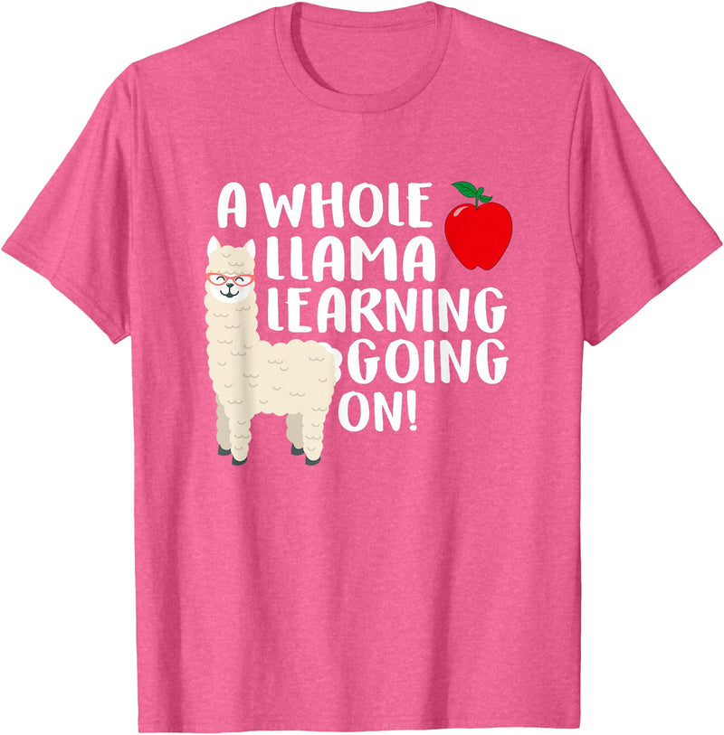 SOMMAS TEACHER A Whole Llama Learning Going on Funny First Grade Teacher T-Shirt - Pink Heather