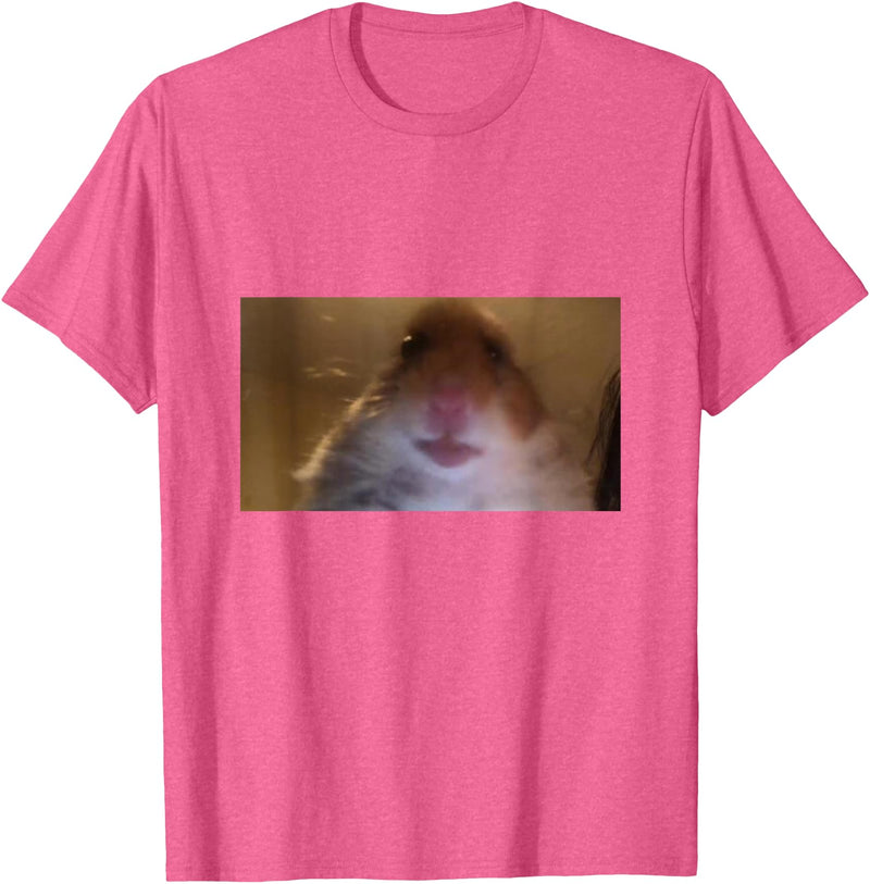 Funny Dank Meme Hamster Staring Front Camera Internet Gift T-Shirt - Pink Heather