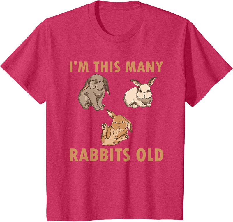 Cute Kids Rabbit Lover Bunny Graphic T-Shirt in Red Heather