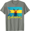 Swimming Pig Bahamas Beach Trips Bahamas Swimming Pig Flag Beach Caribbean Summer Vacation T-Shirt - Olive Heather
