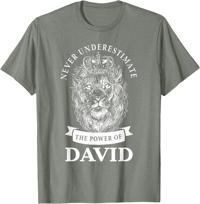 Gifts for David David Gift Name Lion T-Shirt - Olive Heather