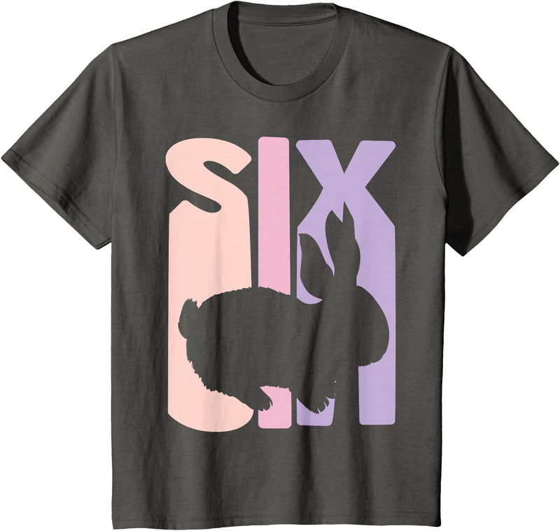 6th Birthday Gift Bunny Rabbit Fan 6 Years Old Girl T-Shirt in Asphalt Grey