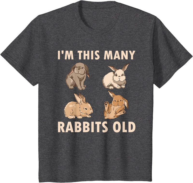 Cute Rabbit Lover Bunny Graphic T-Shirt (Cranberry Red) in Dark Heather Grey