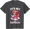 2 Year Old Girl Plane Birthday Party Kids Designs Kids 2nd Birthday Girls Airplane Birthday Party Teddy Bear Plane T-Shirt - Dark Heather Grey