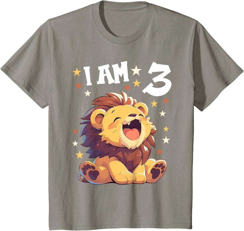 3 years old 3rd birthday Lion 3 Years old 3 birthday Lions Boy Girl Lion T-Shirt - Slate Grey