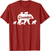Matching Bear Family Apparel Vintage Grandpa Bear with 5 Cub Father's Day T-Shirt - Cranberry Red
