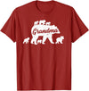 Matching Bear Family Apparel Vintage Grandma Bear with 6 Cub Mother's Day T-Shirt - Cranberry Red