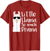 Mommy & Me Llama Co. Little Llama So much Drama Cool Kids Matching Family T-Shirt - Cranberry Red