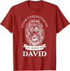 Gifts for David David Gift Name Lion T-Shirt - Cranberry Red