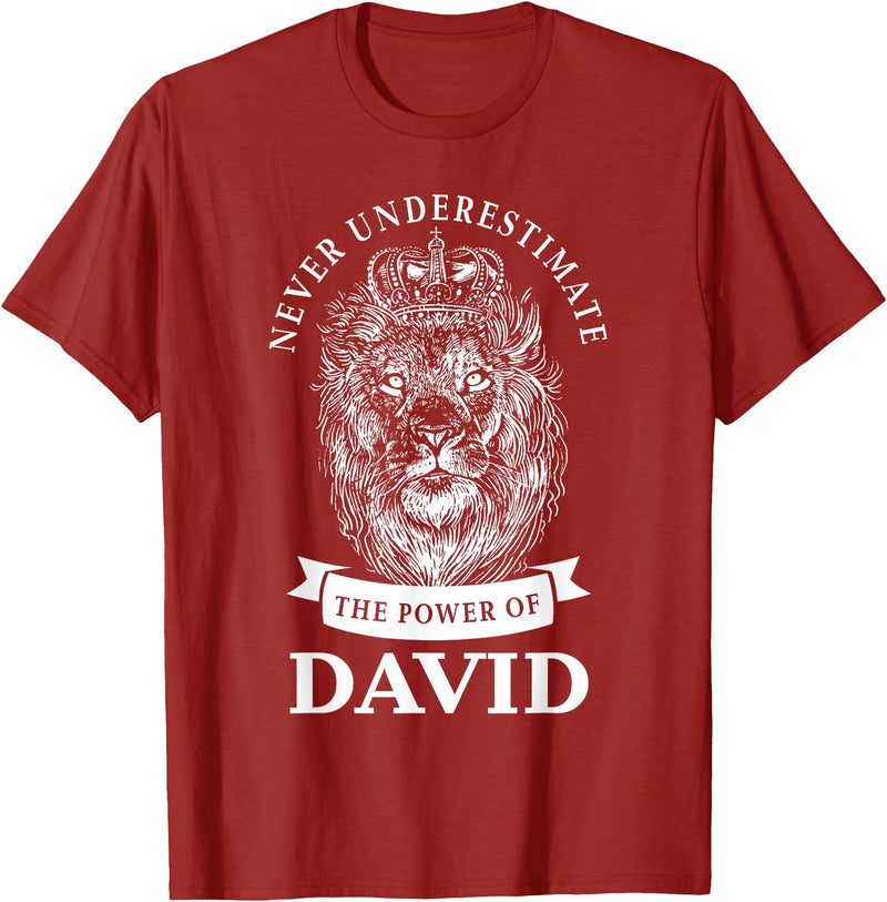 Gifts for David David Gift Name Lion T-Shirt - Cranberry Red