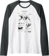 Orca whale Anatomy, Marine Biologist Polar Bear Anatomy, Bear Lover, Marine Biologist Raglan Baseball Tee - Dark Heather Grey/White
