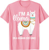 Human Costumes Inc. Llama Halloween Costume I'm A Llama in A Human Costume T-Shirt - Pink