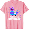 Todays My Bday LLama Tees Cute Birthday Llama Funny Bday Animal Party T-Shirt - Pink