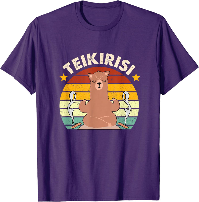 Teikirisi Take It Easy Funny Spanish Llama Latina Yoga T-Shirt - Purple