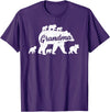 Matching Bear Family Apparel Vintage Grandma Bear with 6 Cub Mother's Day T-Shirt - Purple