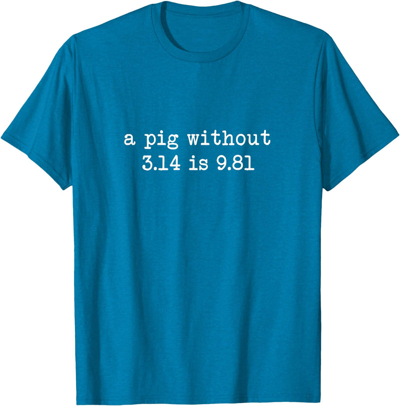 Pig Pi Gravity Math and Physics A Pig Without 3.14 Is 9.81 Math Physics T-Shirt - Sapphire Blue