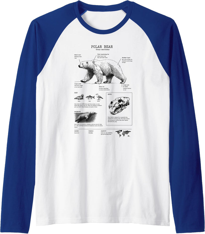 Orca whale Anatomy, Marine Biologist Polar Bear Anatomy, Bear Lover, Marine Biologist Raglan Baseball Tee - Royal Blue/White