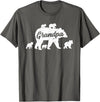 Matching Bear Family Apparel Vintage Grandpa Bear with 5 Cub Father's Day T-Shirt - Asphalt Grey