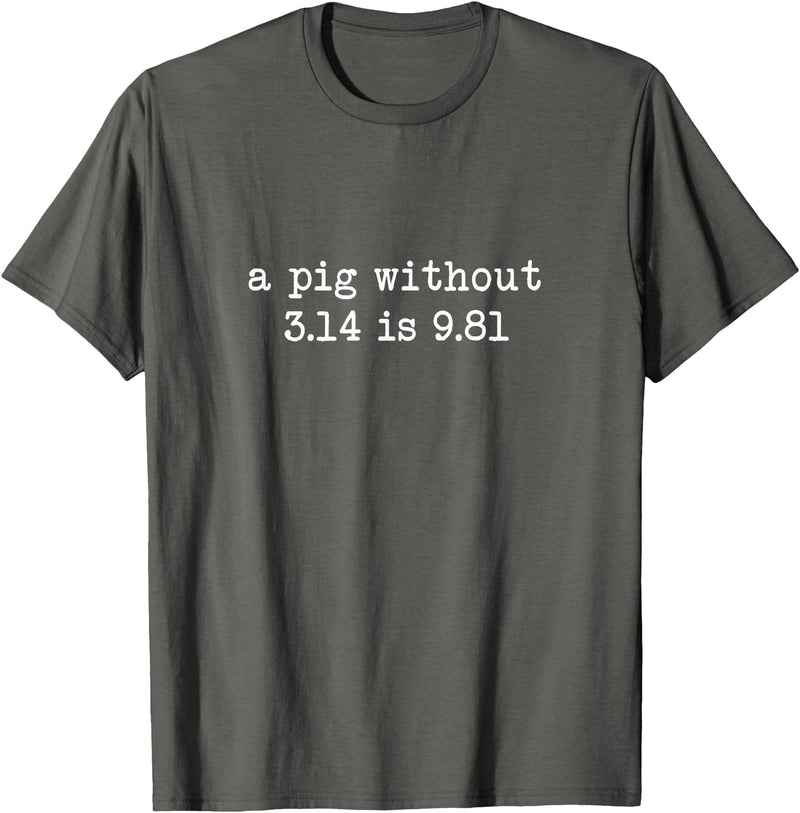 Pig Pi Gravity Math and Physics A Pig Without 3.14 Is 9.81 Math Physics T-Shirt - Asphalt Grey