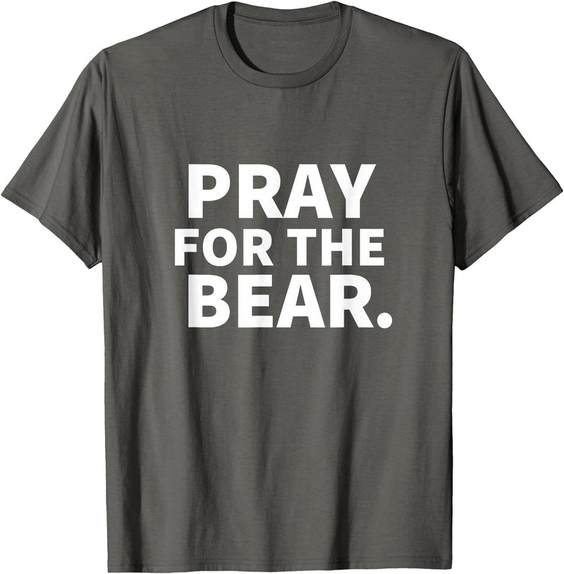 Pray For The Bear Zag Pray For The Bear T-Shirt - Asphalt Grey