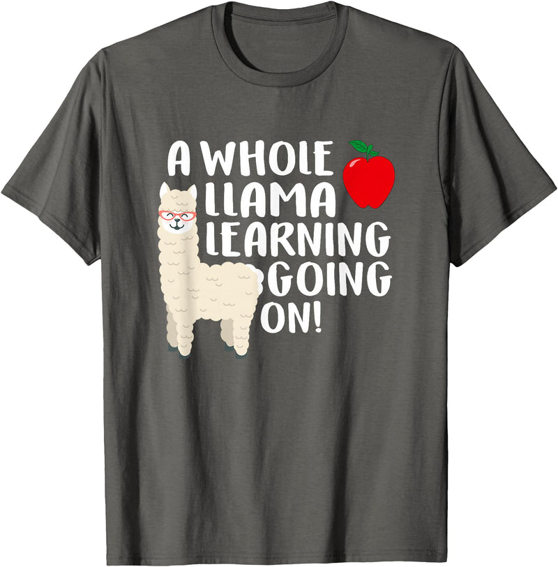 SOMMAS TEACHER A Whole Llama Learning Going on Funny First Grade Teacher T-Shirt - Asphalt Grey