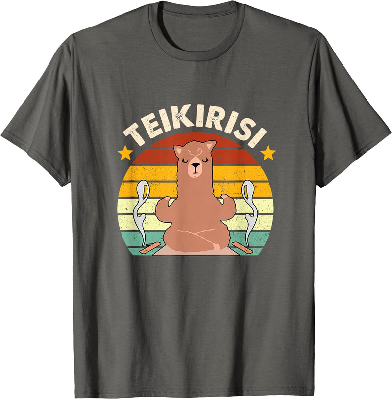 Teikirisi Take It Easy Funny Spanish Llama Latina Yoga T-Shirt - Asphalt Grey