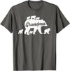 Matching Bear Family Apparel Vintage Grandma Bear with 6 Cub Mother's Day T-Shirt - Asphalt Grey