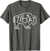 Buffalo Polish 716 716ski Dyngus Day Buffalo NY Polish T-Shirt - Asphalt Grey