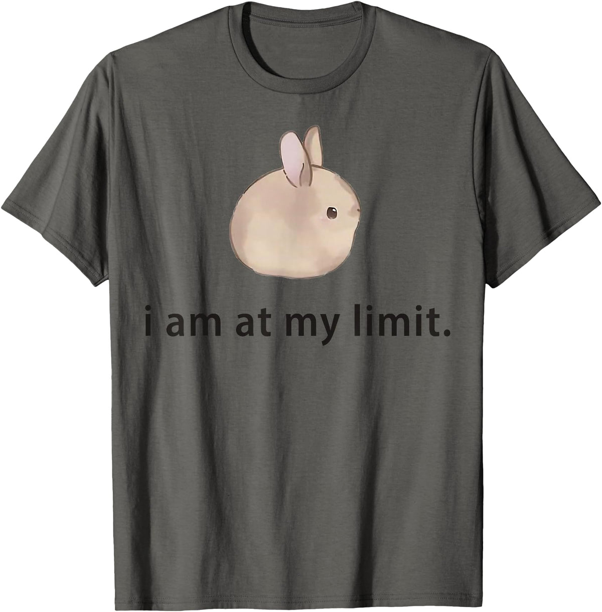 I Am at My Limit Rabbit T-Shirt in Asphalt Grey