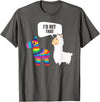 VepaDesigns Cinco De Mayo Shirt Mexican Gift Llama Id Hit That Pinata Mexican Funny Cinco de Mayo Gift T-Shirt - Asphalt Grey