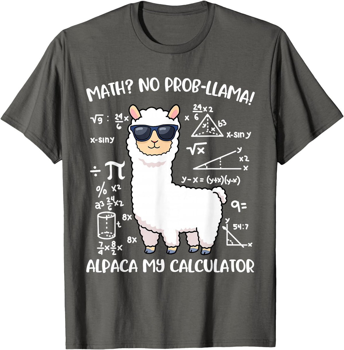 Math Llama Clothing Math Llama T-Shirt - Asphalt Grey