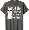 Mommy & Me Llama Co. Little Llama So much Drama Cool Kids Matching Family T-Shirt - Asphalt Grey
