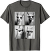Funny Animal Photography Clothing Co. Funny Llamas with Sunglasses Cool Llama Animals Photo Booth T-Shirt - Asphalt Grey