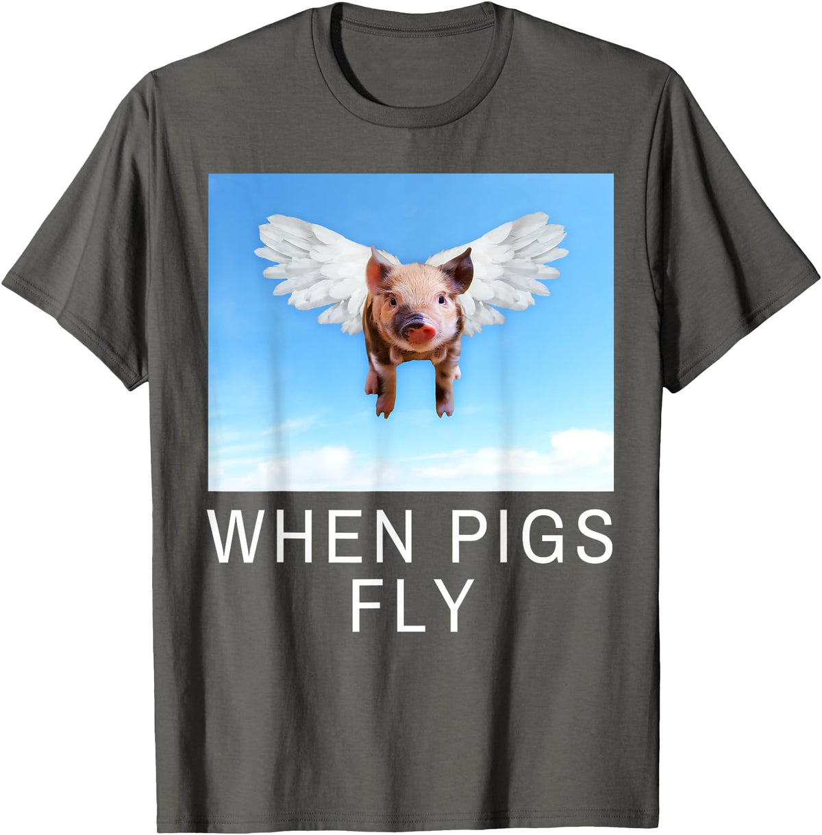 Sarcastic Apparel Shop Funny Sarcastic When Pigs Fly Funny Apparel for everyone T-Shirt - Asphalt Grey
