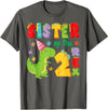 Funny 2Nd Birthday Dinosaur T-Rex Matching Sister of The Two Rex 2Nd Birthday Boy Dinosaur T-Rex T-Shirt - Asphalt Grey