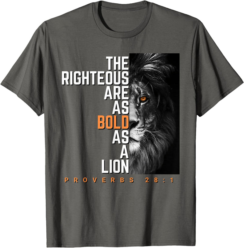 Funny The Righteous Are As Bold As A Lion Bible Verse T-Shirt - Asphalt Grey