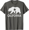 California Bear Souvenirs California State Flag Republic Of California T-Shirt - Asphalt Grey