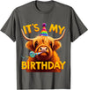 Humorous Highland Cow Gifts It's my Birthday Party Highland Cow T-Shirt - Asphalt Grey