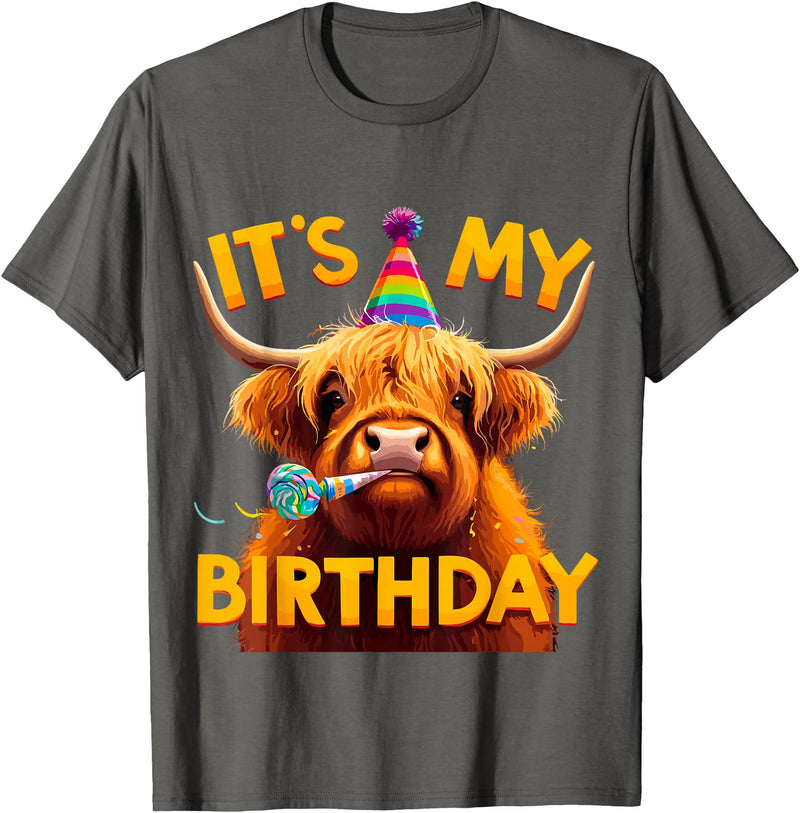 Humorous Highland Cow Gifts It's my Birthday Party Highland Cow T-Shirt - Asphalt Grey