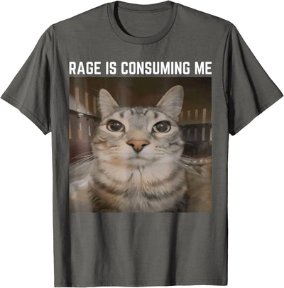 Cat Meme Funny Memes Internet Memes Humorous Joke Rage is Consuming Me Meme Cat Meme Oddly Specific Memes Joke T-Shirt