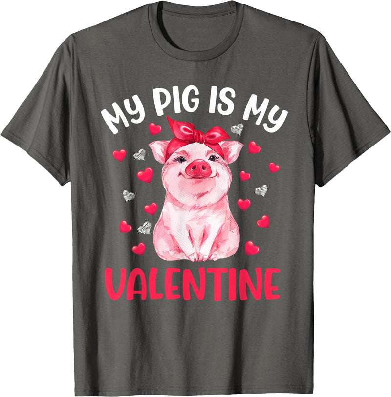 Cute Valentine Pig Apparel For Animals Lover My Pig Is My Valentine Apparel Animals Lover Gifts T-Shirt - Asphalt Grey