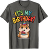 It's My Birthday Cute Hamster for Kid's Party Celebration T-Shirt - Asphalt Grey