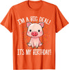 I'm A Big Deal It's My Birthday Apparel Co I'm A Big Deal It's My Birthday Funny Birthday with Pig T-Shirt - Orange