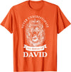 Gifts for David David Gift Name Lion T-Shirt - Orange