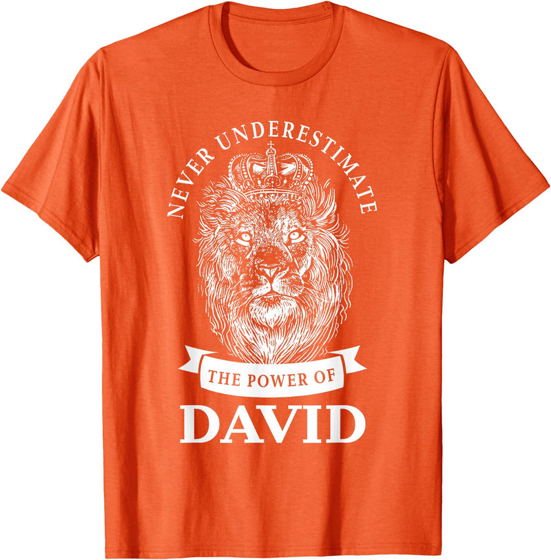Gifts for David David Gift Name Lion T-Shirt - Orange